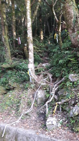 20210125_080931.jpg 20210125_080931.jpg