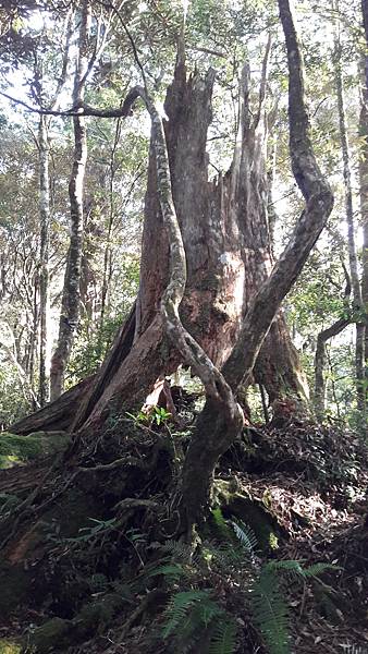 20210125_083254.jpg 20210125_083254.jpg