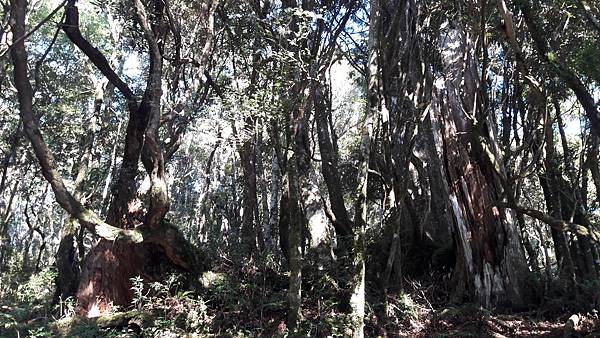 20210125_090616.jpg 20210125_090616.jpg