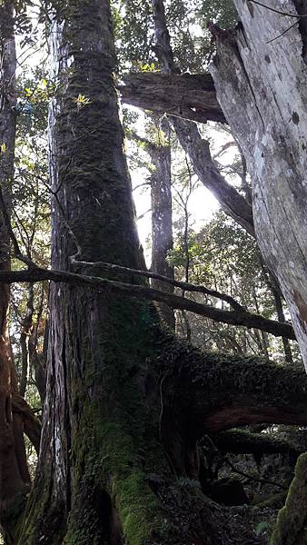 20210125_093801.jpg 20210125_093801.jpg