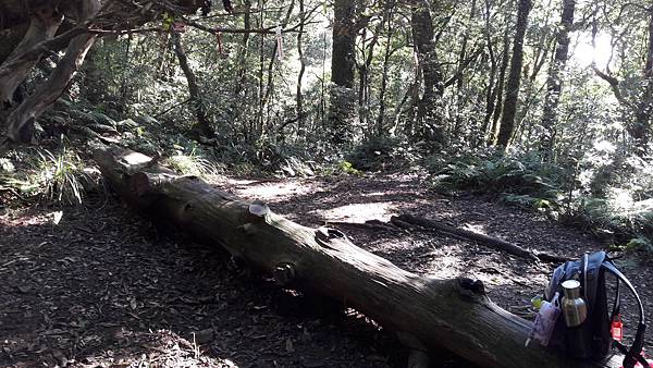 20210125_092118.jpg 20210125_092118.jpg