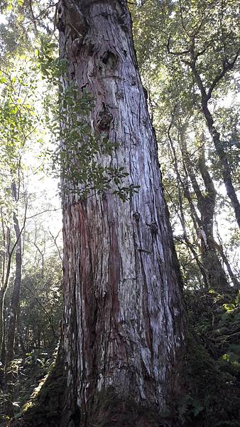 20210125_094407.jpg 20210125_094407.jpg