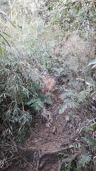 20210125_094924.jpg 20210125_094924.jpg