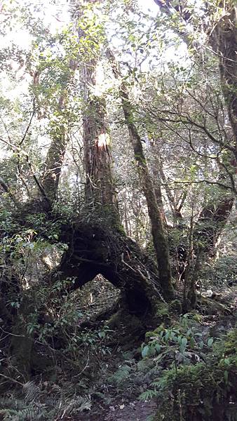 20210125_095403.jpg 20210125_095403.jpg