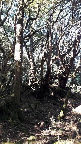 20210125_100813.jpg 20210125_100813.jpg