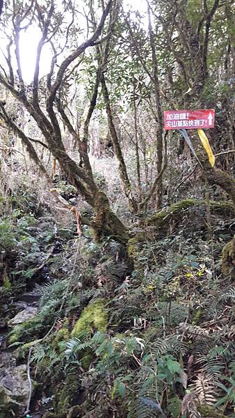 20210125_101723.jpg 20210125_101723.jpg