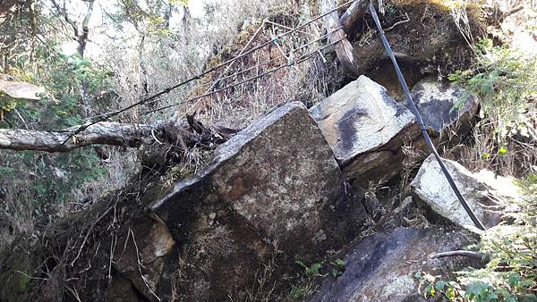 20210125_102912.jpg 20210125_102912.jpg