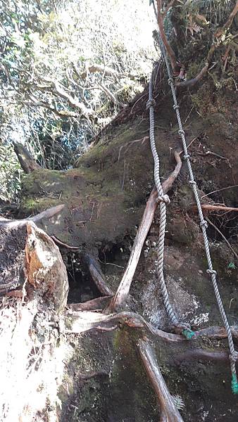 20210125_103426.jpg 20210125_103426.jpg