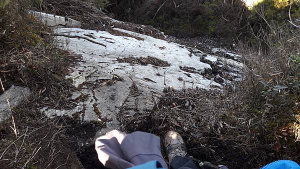 20210125_105940.jpg 20210125_105940.jpg