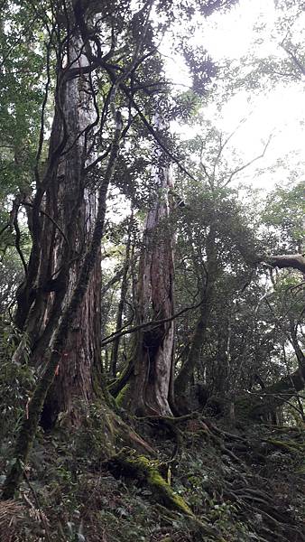 20210125_120133.jpg 20210125_120133.jpg