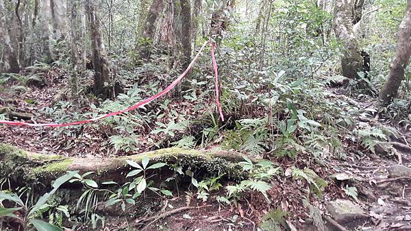 20210125_133619.jpg 20210125_133619.jpg