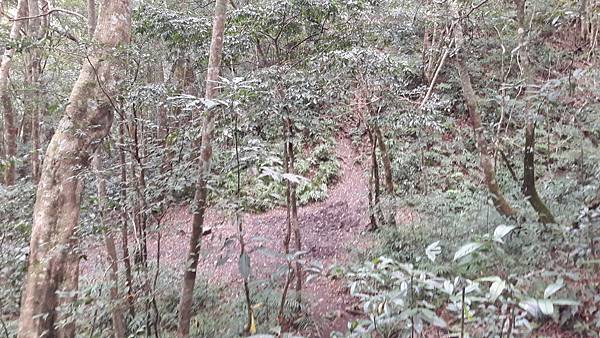 20210125_133925.jpg 20210125_133925.jpg