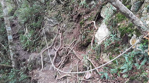 20210125_134323.jpg 20210125_134323.jpg