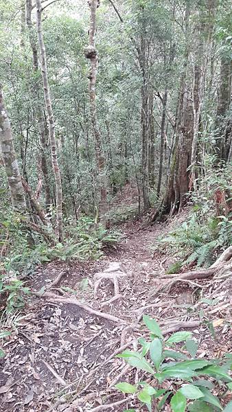 20210125_134704.jpg 20210125_134704.jpg