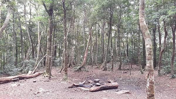 20210125_135106.jpg 20210125_135106.jpg