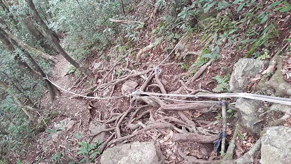 20210125_135332.jpg 20210125_135332.jpg