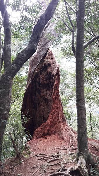 20210125_135738.jpg 20210125_135738.jpg