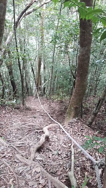 20210125_140336.jpg 20210125_140336.jpg