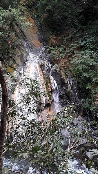 20210125_141248.jpg 20210125_141248.jpg