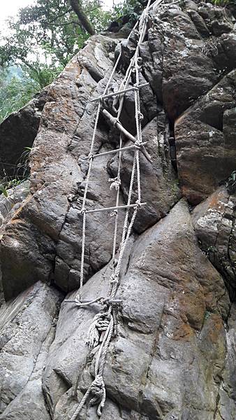 20210125_141422.jpg 20210125_141422.jpg