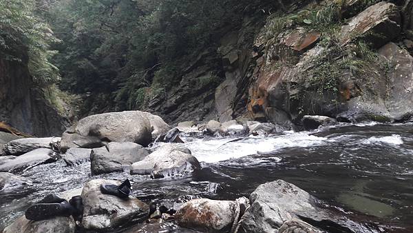 20210125_143837.jpg 20210125_143837.jpg