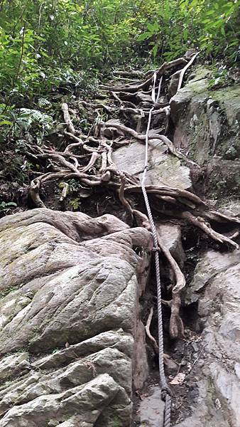 20210125_150614.jpg 20210125_150614.jpg