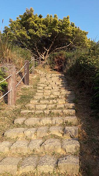 (112北投區)紫明溪步道、蒸氣氤氳的硫磺谷