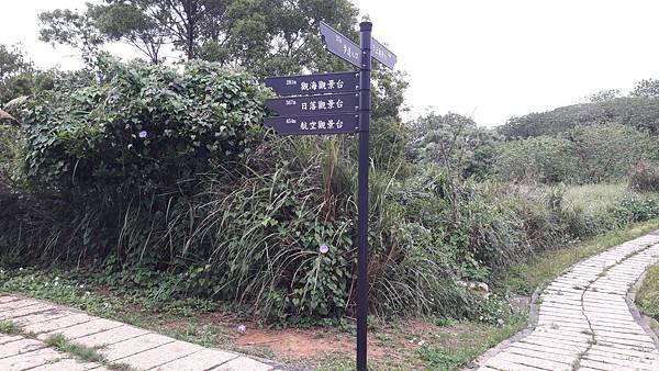 20210312_161701.jpg 20210312_161701.jpg