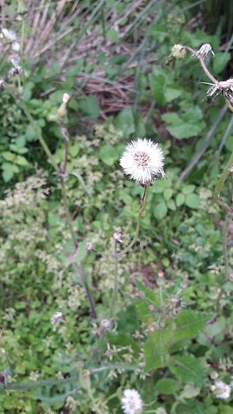 20210312_163202.jpg 20210312_163202.jpg