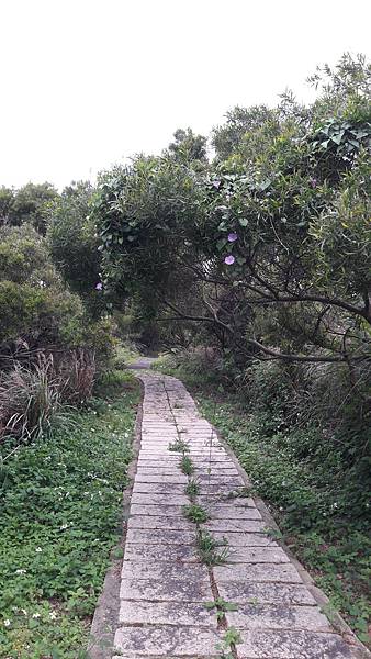 20210312_163301.jpg 20210312_163301.jpg