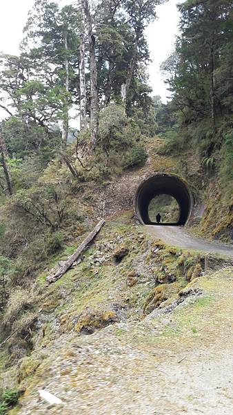 20210411_125514.jpg 20210411_125514.jpg