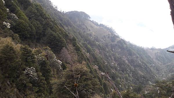 20210411_150211.jpg 20210411_150211.jpg