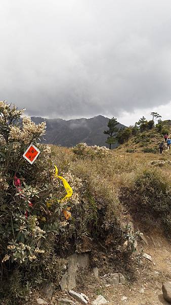 20210411_134826.jpg 20210411_134826.jpg