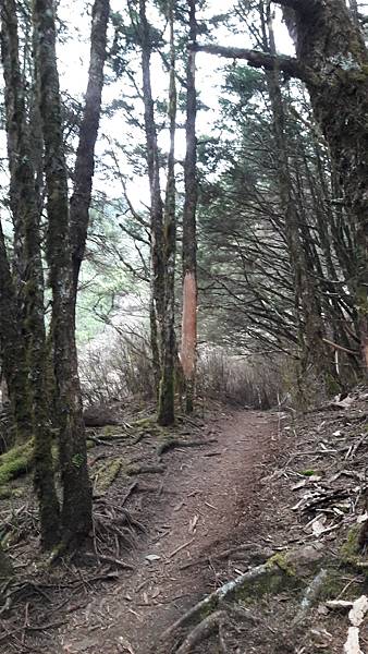 20210411_150649.jpg 20210411_150649.jpg