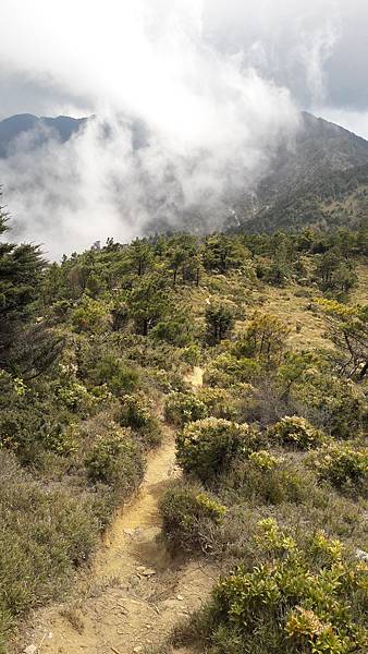 20210411_135422.jpg 20210411_135422.jpg