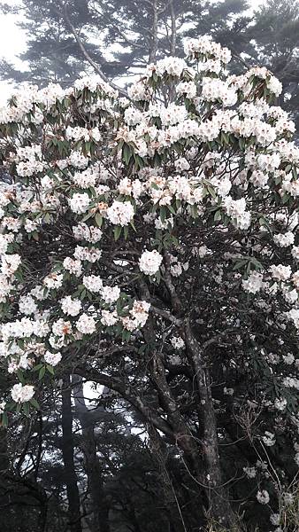 20210411_160916.jpg 20210411_160916.jpg