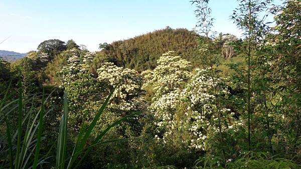 20210421_165350.jpg 20210421_165350.jpg