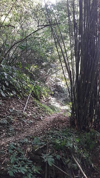 20210421_162631.jpg 20210421_162631.jpg