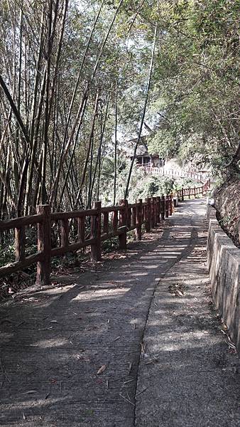 20210421_160308.jpg 20210421_160308.jpg