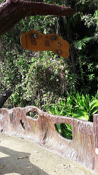 20210421_155648.jpg 20210421_155648.jpg