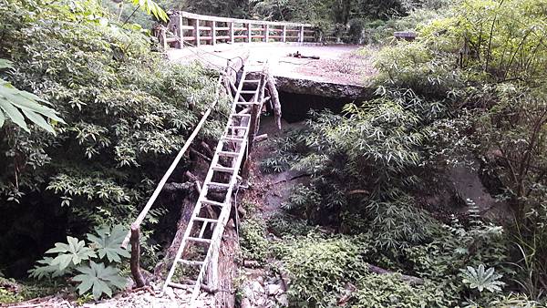 20210506_061444.jpg 20210506_061444.jpg