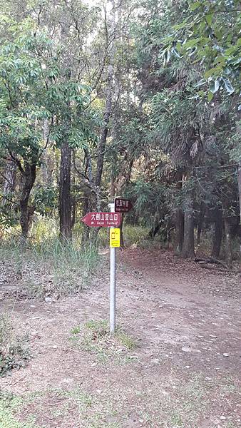 20210506_064411.jpg 20210506_064411.jpg