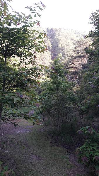 20210506_064508.jpg 20210506_064508.jpg