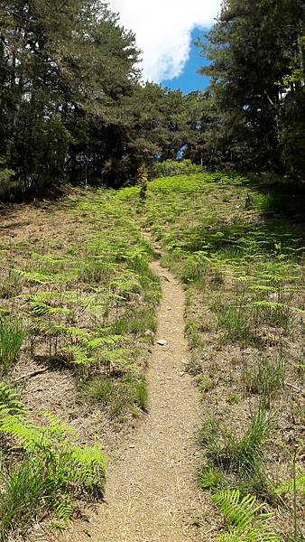 20210506_101747.jpg 20210506_101747.jpg