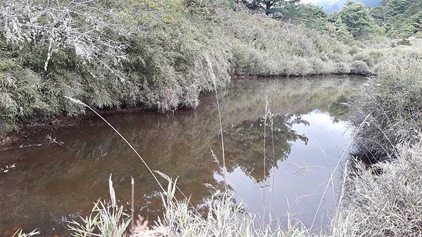 20210506_120605.jpg 20210506_120605.jpg