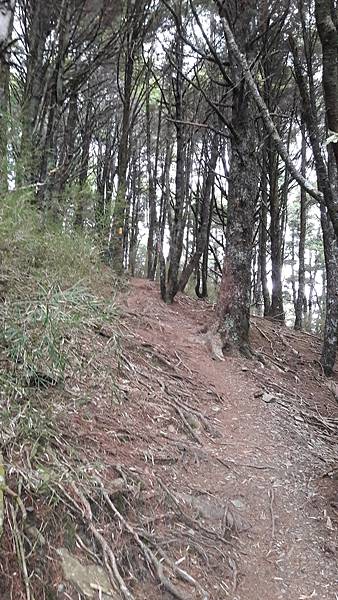 20210506_125224.jpg 20210506_125224.jpg