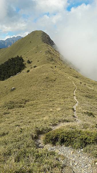 20210506_145920.jpg 20210506_145920.jpg