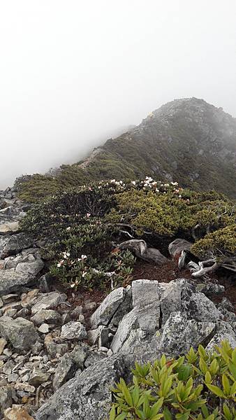 20210506_170643.jpg 20210506_170643.jpg