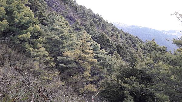 20210506_130335.jpg 20210506_130335.jpg