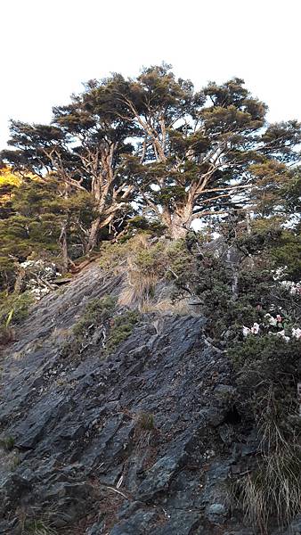 20210507_052105.jpg 20210507_052105.jpg